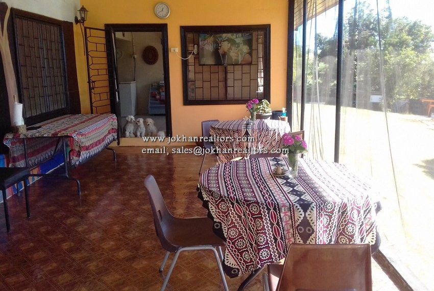 125041615_1264430457291059_5912588733815403704_n