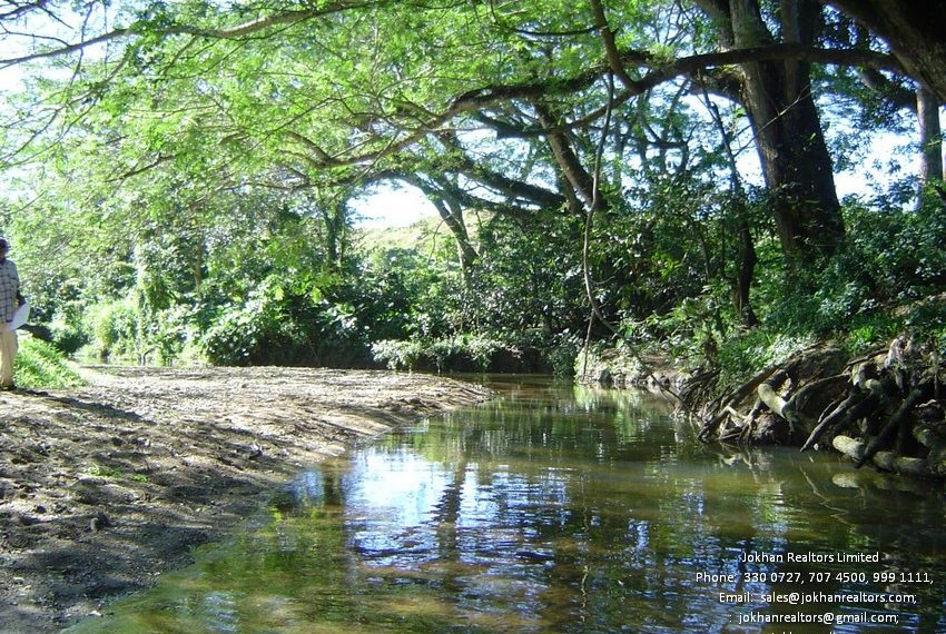 Tokalau Pointe Pic 7