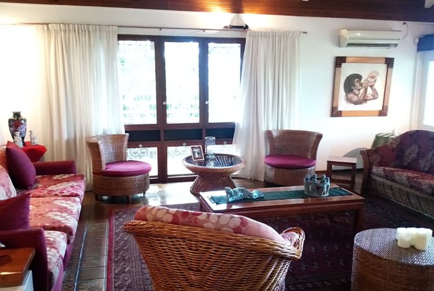 53553169_424046608348329_755262487103799296_n(1)