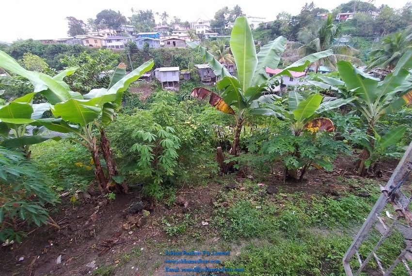 20201001_141715_800x600_800x600