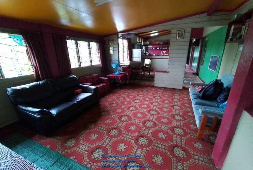 20201001_141954_800x600_800x600