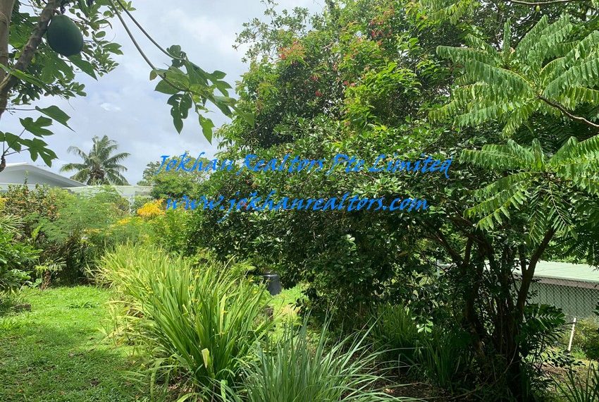 131065184_3635518429839335_6803074134560187428_n