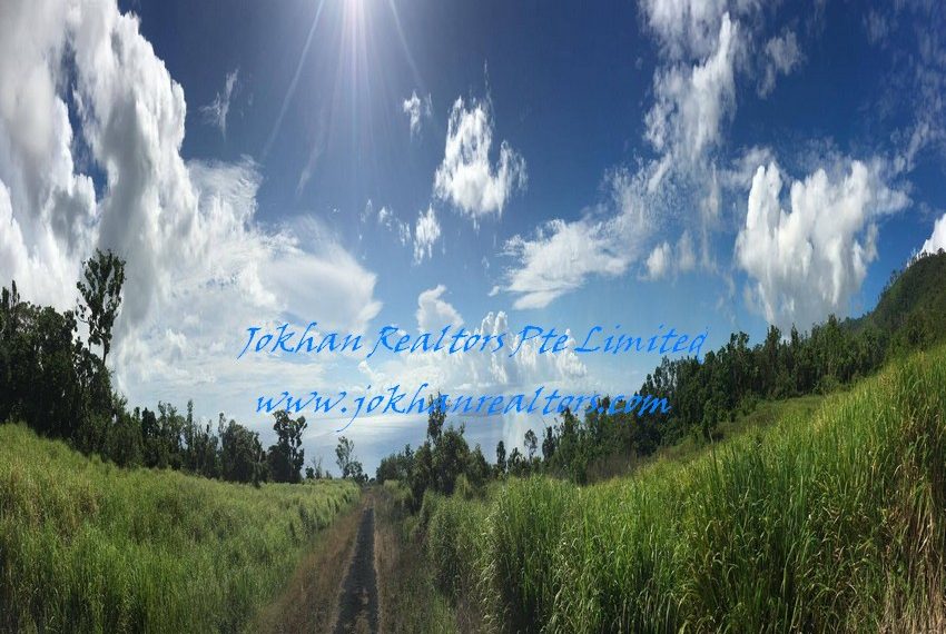 15875600_10208685444278022_7780819205818839619_o