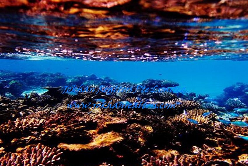 Fiji-Beachfront- (11)