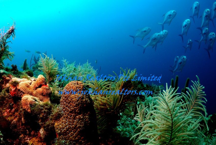 Fiji-Beachfront- (12)
