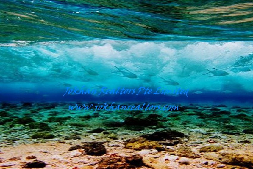 Fiji-Beachfront-(8)