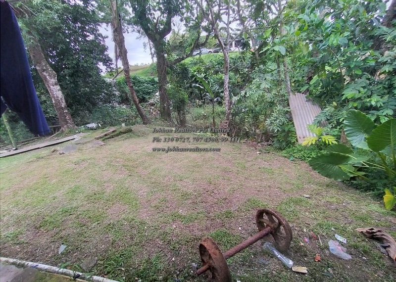 20220123_160537_800x600