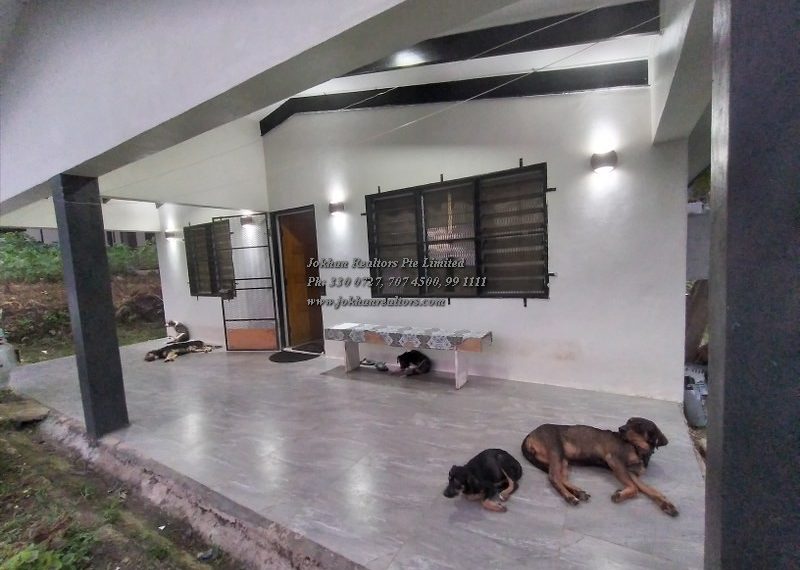 IMG_20220115_184529_800x600