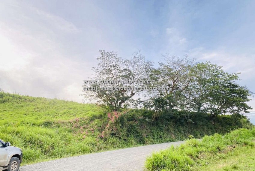 IMG-12219be3893cd9d11abc730a3810f21e-V