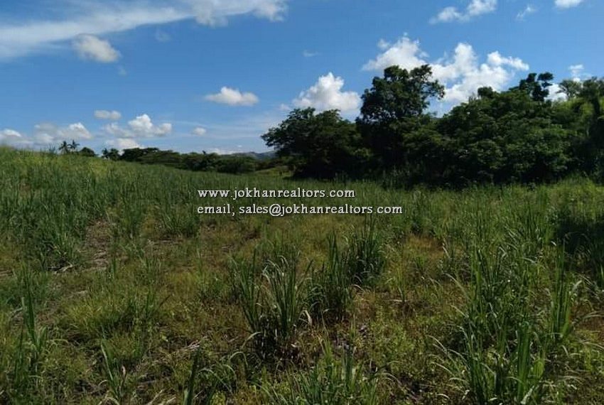 IMG-3be8805706e87c32e66deb64f48f42cd-V