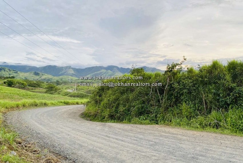 IMG-cd56e31ace5c3c30d8d72e8c0e3c63fc-V