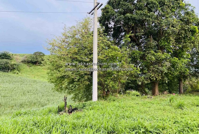 IMG-f0a4d1041d40cb385317030512a33824-V