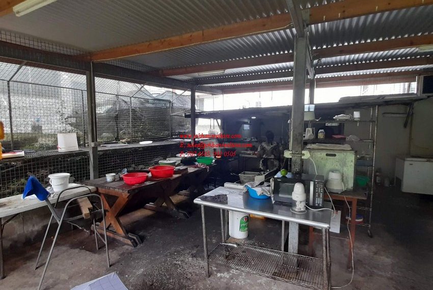 viber_image_2022-05-03_11-13-57-869