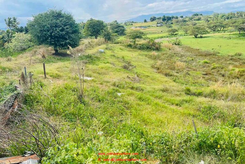 IMG-dc426169fc7ec92c5208b116438e14fa-V