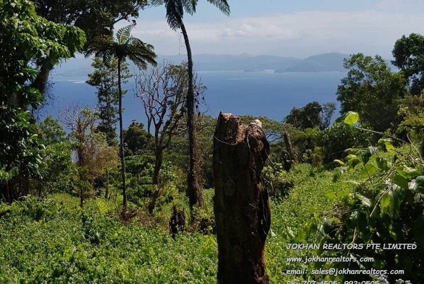 Screenshot_20220627-121833_Photos