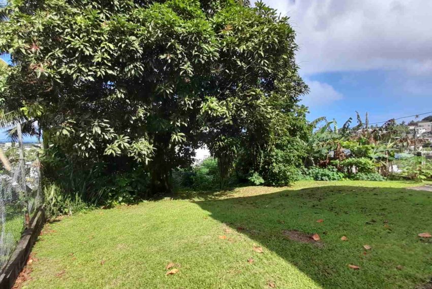 viber_image_2022-07-20_10-40-59-944