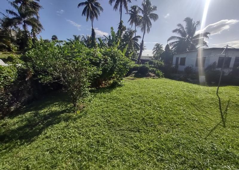 IMG_20231029_154456955_HDR-800x600