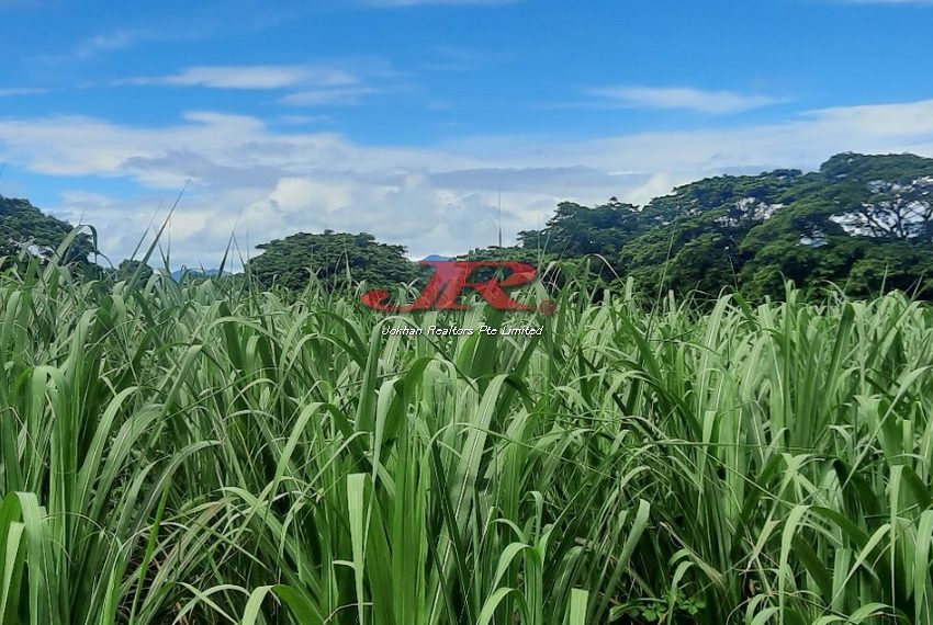 Navoli Ba Agri 1 (2)