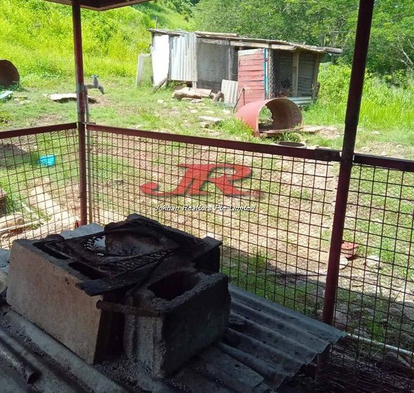 viber_image_2024-03-08_13-02-19-740