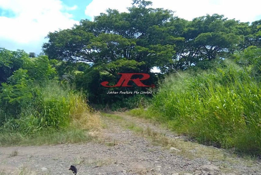 viber_image_2024-03-12_14-54-12-688