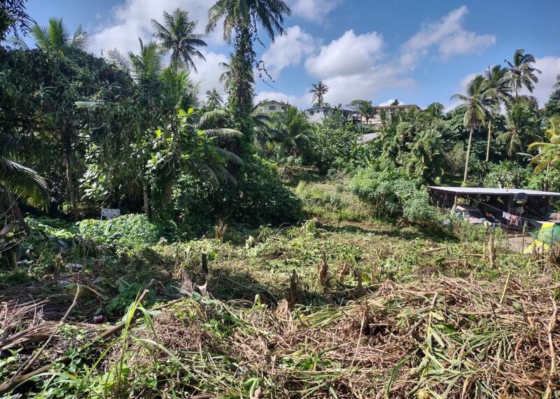 IMG_20240704_120622689_HDR-800x600