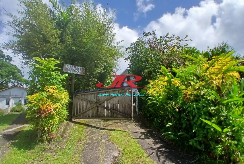 Qauia - Naimawi - Lami (5)