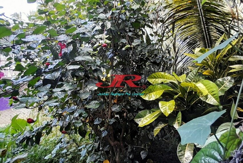 2 Ratu Dovi Rd Pretisha (3)