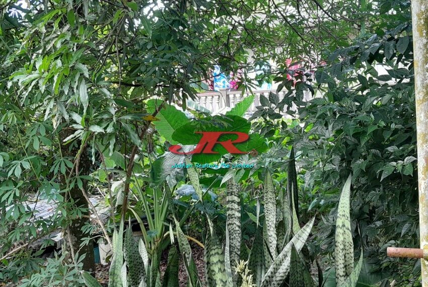 2 Ratu Dovi Rd Pretisha (7)