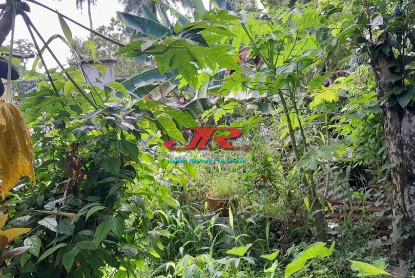 2 Ratu Dovi Rd Pretisha (8)